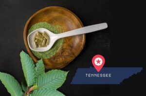 Is Kratom Legal In Tennessee