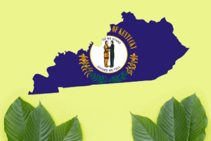 Is Kratom Legal In Kentucky
